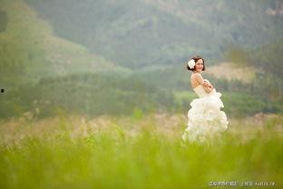 青青青草国产免费观看,国产免费观看，绿色生态影视盛宴