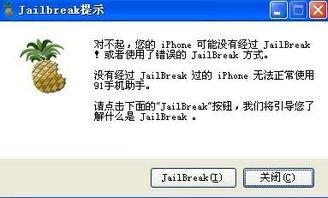 91人入口a直接进入看,揭秘神秘数字背后的故事